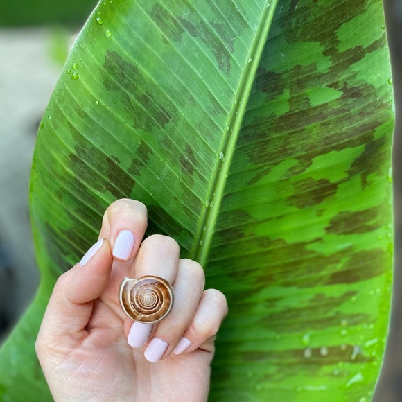 Seashell glazed ring - Picture 2 of 6